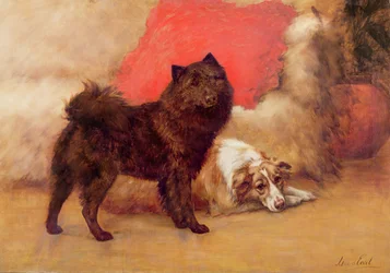 赤いクッション